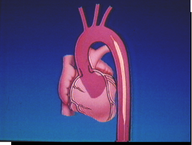 4100c127-f03b-48f5-8382-4dbae3f4f037.png