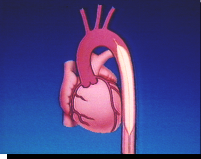 0d874572-45d8-48a2-ba9c-3e4f6ea11cca.png