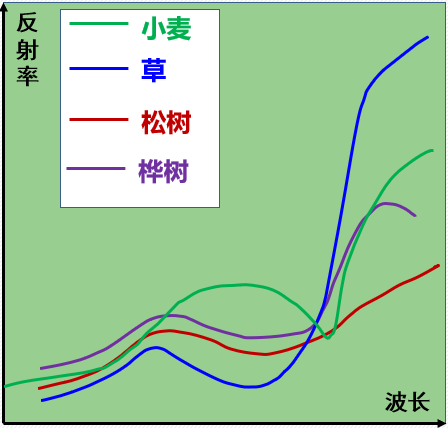 不同地物不同反射光谱曲线