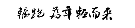 登录查看大图