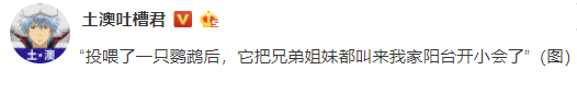 投喂这只小可爱后，它竟带着...强行来“报恩”了.... - 1