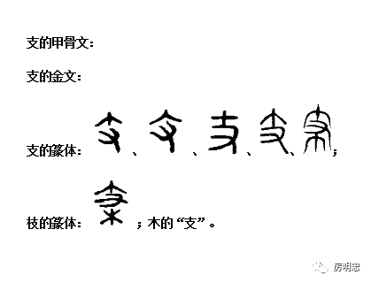 汉字溯源 说文解字 1 支 伎 妓 忮 吱 肢 技 䃽 攱 跂 厉明忠 微信公众号文章阅读 Wemp