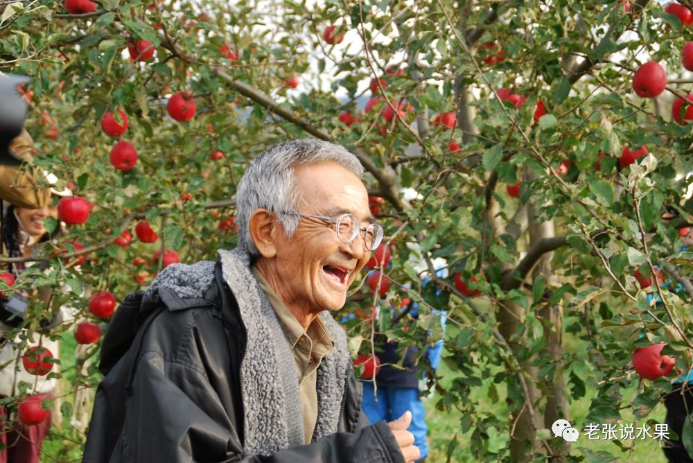 �����������ʧ�ģ�������֮���໥�������硱��Ӱ��