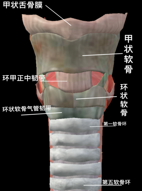 患者怎么选择人工鼻患者行气管切开术后的护理_https://www.jmylbn.com_新闻资讯_第2张