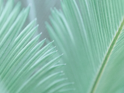 患者怎么选择人工鼻患者行气管切开术后的护理_https://www.jmylbn.com_新闻资讯_第22张