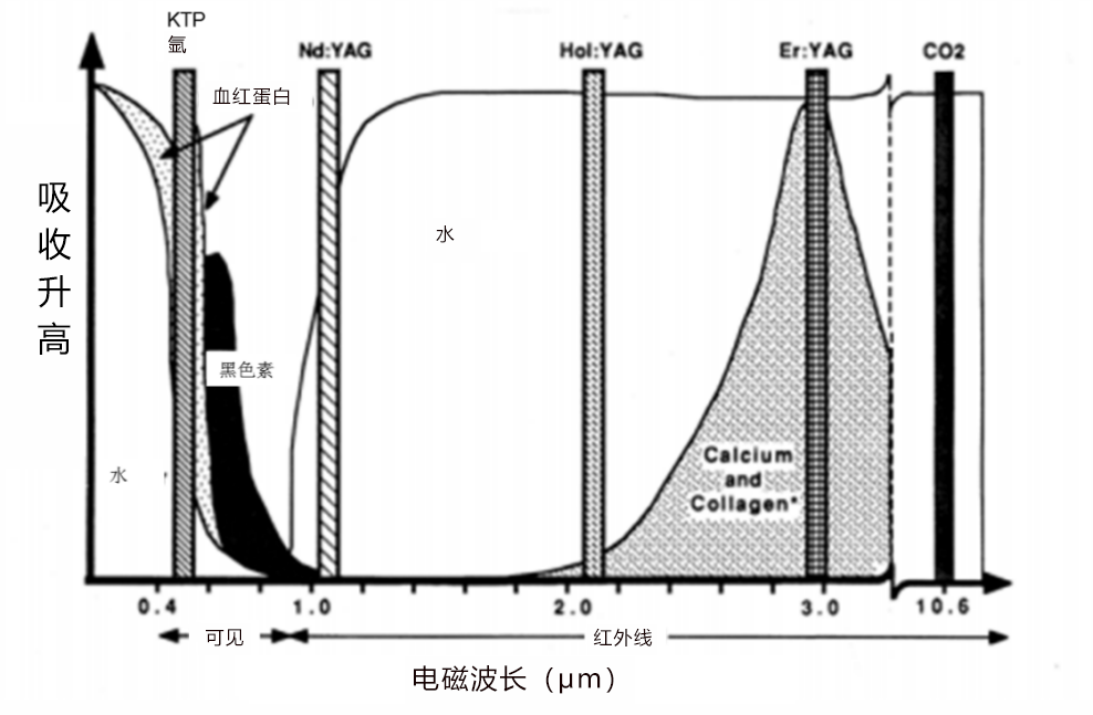 二氧化碳(co2)激光治疗是什么CO2激光手术后的伤口愈合研究_https://www.jmylbn.com_新闻资讯_第2张