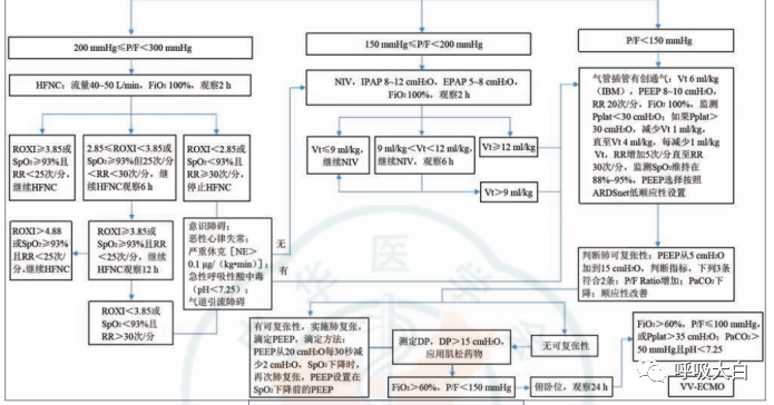 呼吸机vt是什么意思呼吸机相关指南个人总结（二）_https://www.jmylbn.com_新闻资讯_第5张