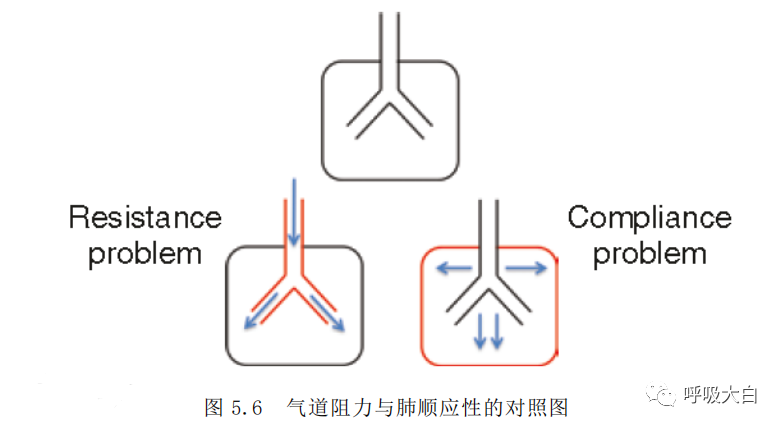 呼吸机pip是什么意思3压力控制辅助通气 P-A／C模式_https://www.jmylbn.com_新闻资讯_第2张