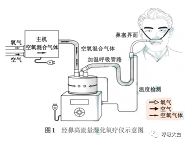 为什么用高流量呼吸成人经鼻高流量湿化氧疗临床规范应用专家共识、急诊成人经鼻高流量氧疗临床应用专家共识——（个人总结）_https://www.jmylbn.com_新闻资讯_第1张
