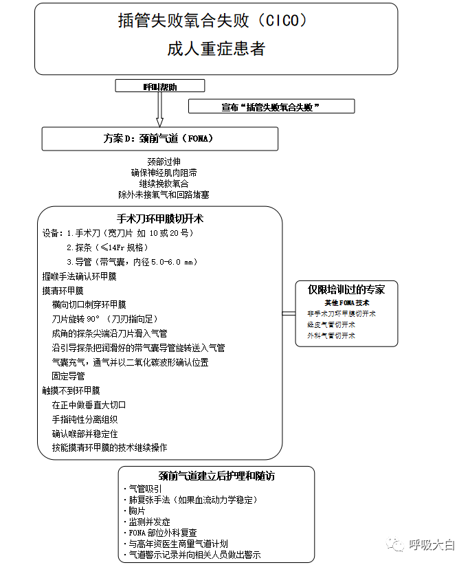 成人喉镜型号怎么选择成人重症患者气管插管管理指南1_https://www.jmylbn.com_新闻资讯_第4张