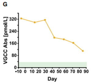 CAR-T細胞療法在難治性Lambert-Eaton肌無力綜合征中的突破性進展