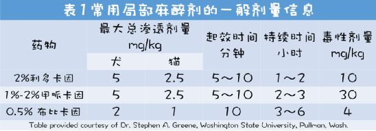 动物怎么麻醉小动物患者局部麻醉_https://www.jmylbn.com_新闻资讯_第9张