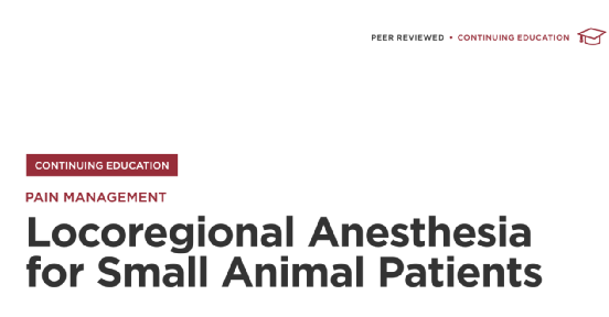 动物怎么麻醉小动物患者局部麻醉_https://www.jmylbn.com_新闻资讯_第1张