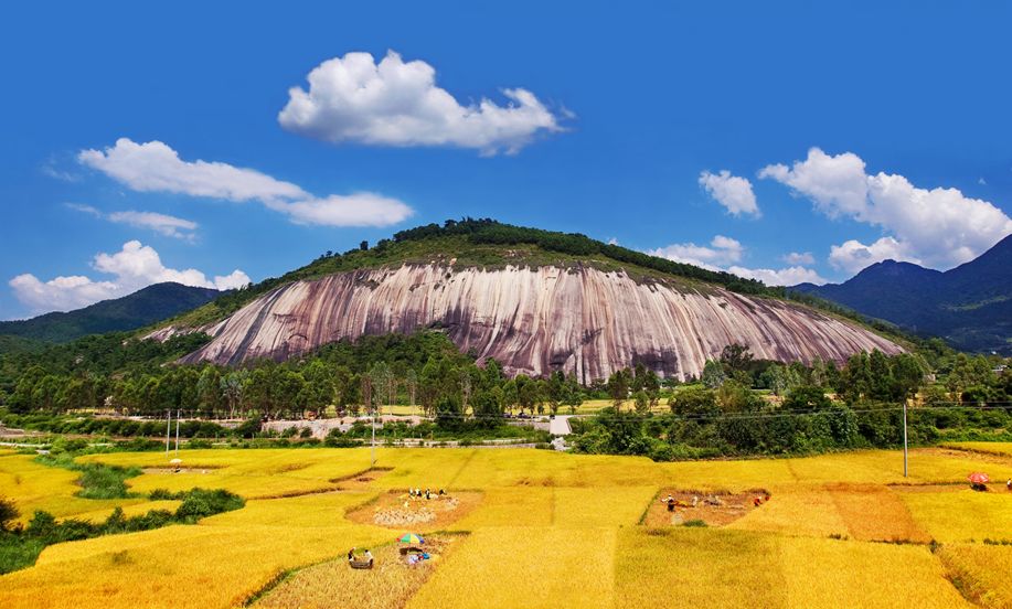 打好"三张牌,旅游发展快!封开这里风景独好