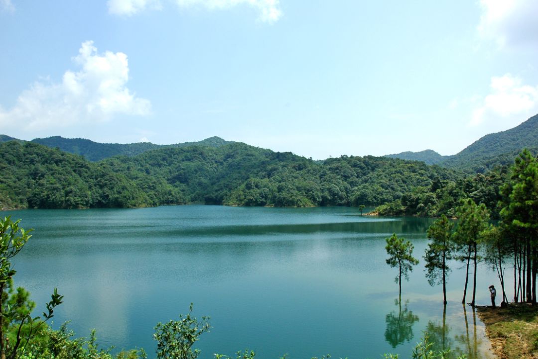 只需一瞬间的对视你就会爱上封开