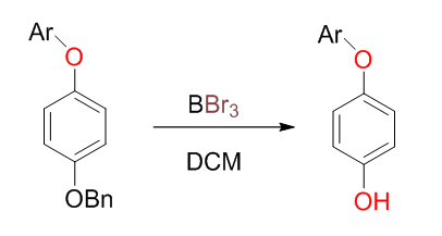化学工艺中可能产生危险性产物（副产物）的反应的图14