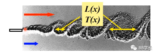 湍流建模|02涡粘度模型-上的图5