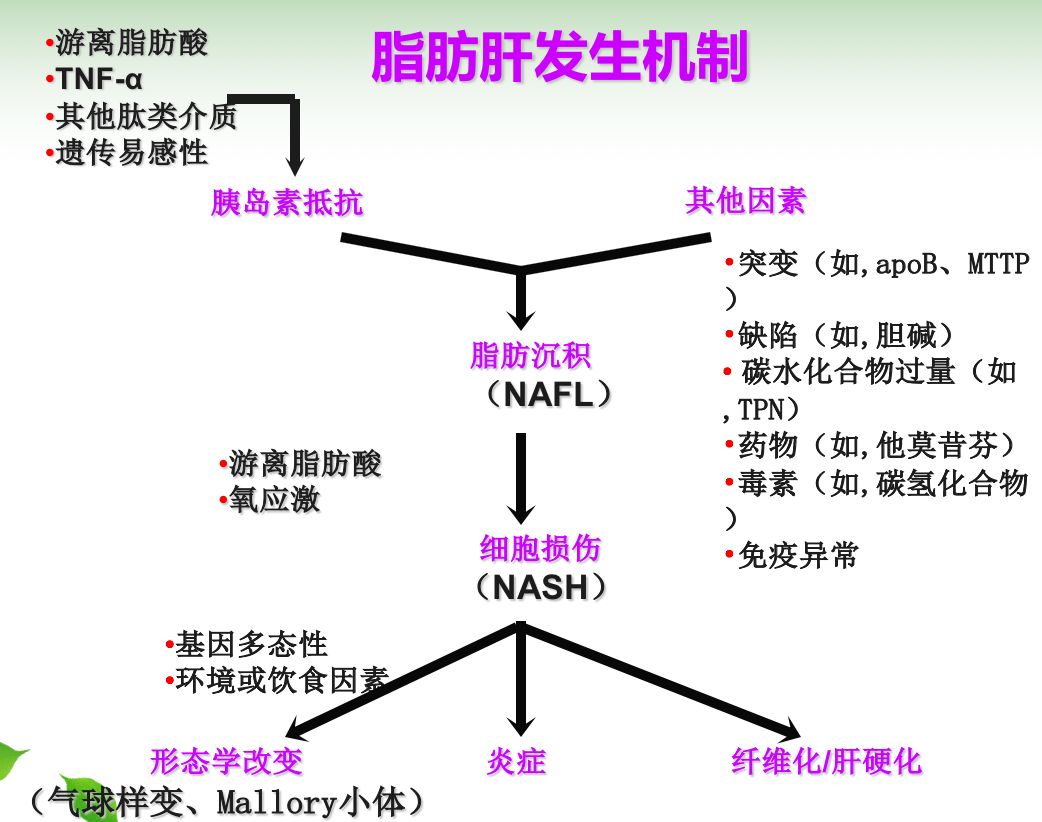 辟谷康复脂肪肝的原理与案例 辟谷班 免费辟谷 辟谷的正确方法 辟谷培训 辟谷是什么意思 辟谷 宗源辟谷 辟谷减肥具体方法 丹道养生 宗源堂