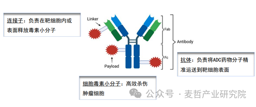 【专题研究】“多元、加速、共生”——生物医药前沿技术三大趋势(图5)
