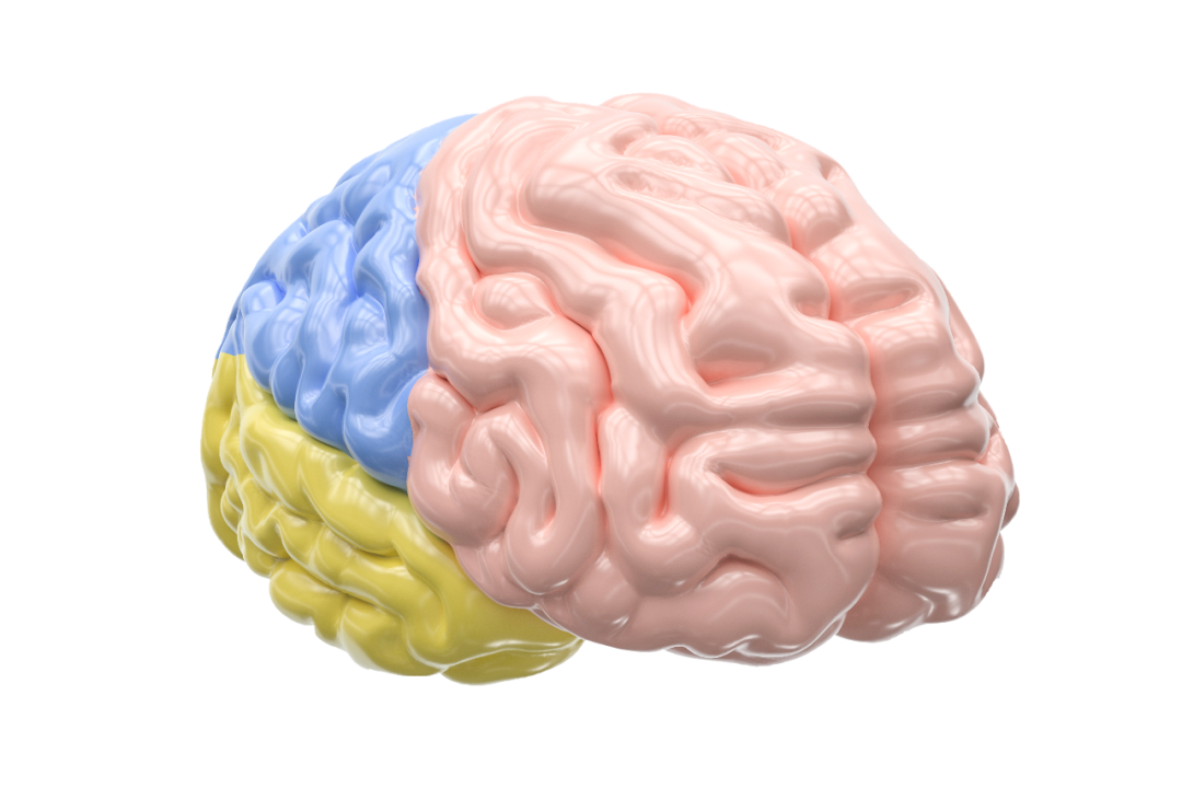 今年夏天吃啥养心 范师的夏日饮食经 正安聚友会 微信公众号文章阅读 Wemp