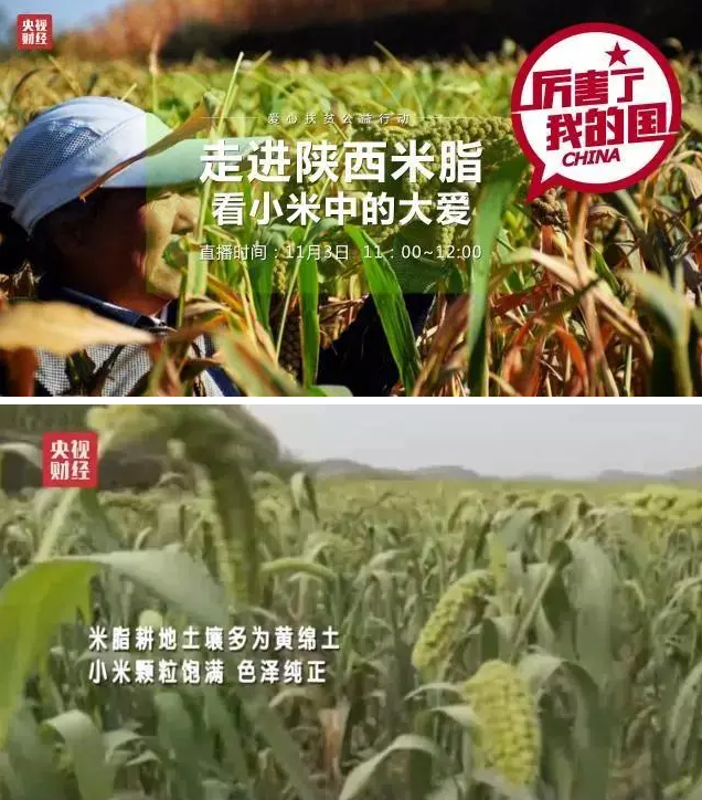 �������͸ó������ʳ��ƽ𡱣���θ���̲�������һ������ȫ�Ҷ���