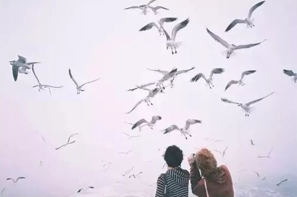 朋友的质量，决定人生的质量