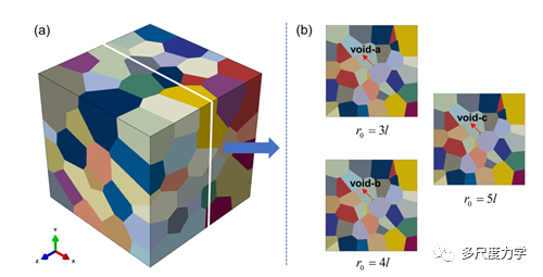 IJP：非均相多晶体中尺寸相关的微孔生长的图1