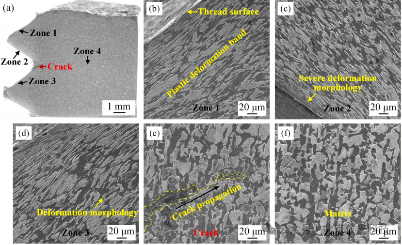 直击工业心脏！看泽攸ZEM台式电镜如何破解电机螺钉断裂的“微观密码