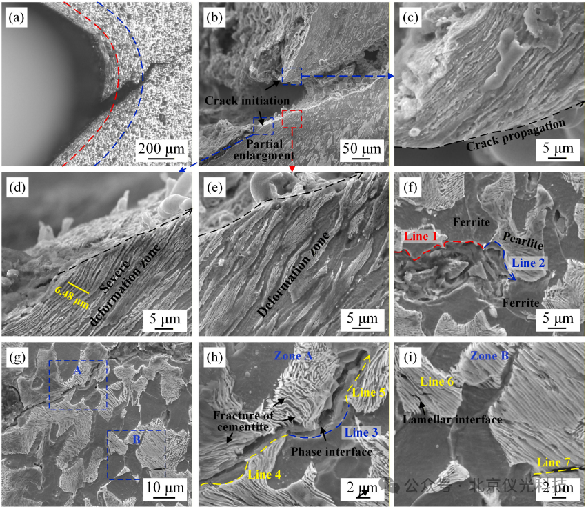 直击工业心脏！看泽攸ZEM台式电镜如何破解电机螺钉断裂的“微观密码