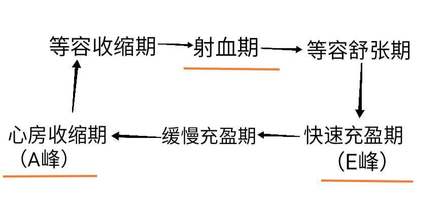 什么是同步心电图心电图如何与心脏超声结合到一起_https://www.jmylbn.com_新闻资讯_第3张