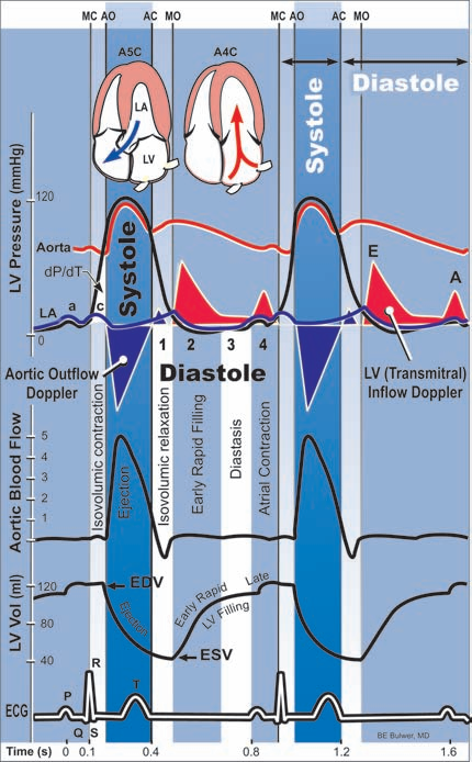 什么是同步心电图心电图如何与心脏超声结合到一起_https://www.jmylbn.com_新闻资讯_第6张