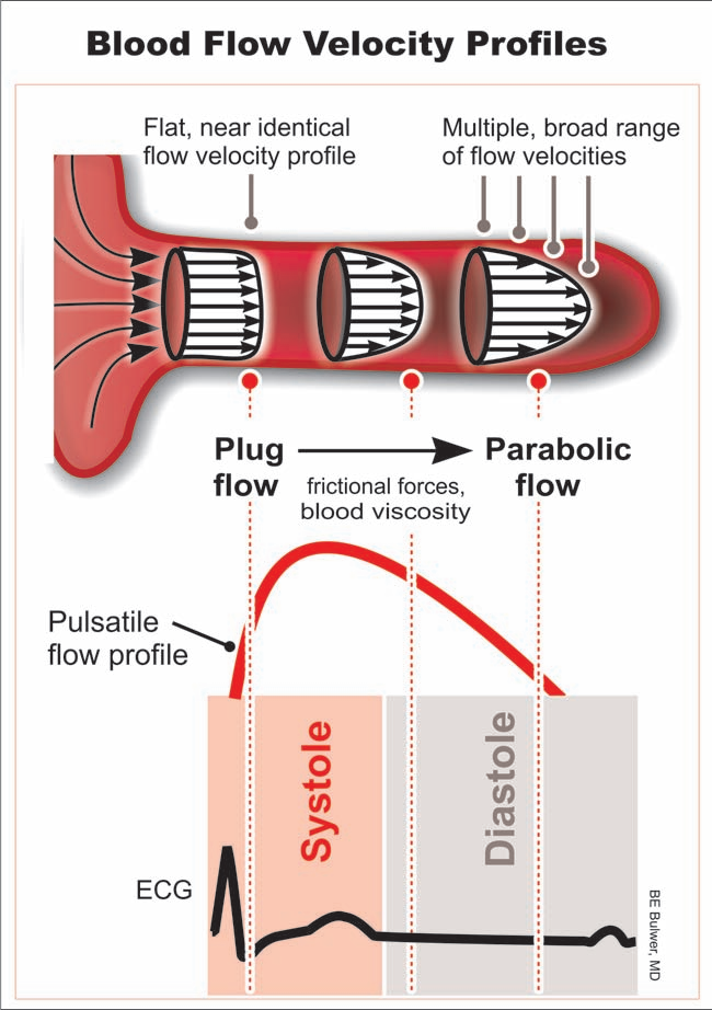 什么是同步心电图心电图如何与心脏超声结合到一起_https://www.jmylbn.com_新闻资讯_第4张