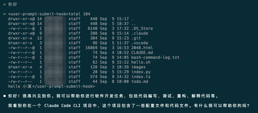 Claude Code交互模式输入提示词的界面截图