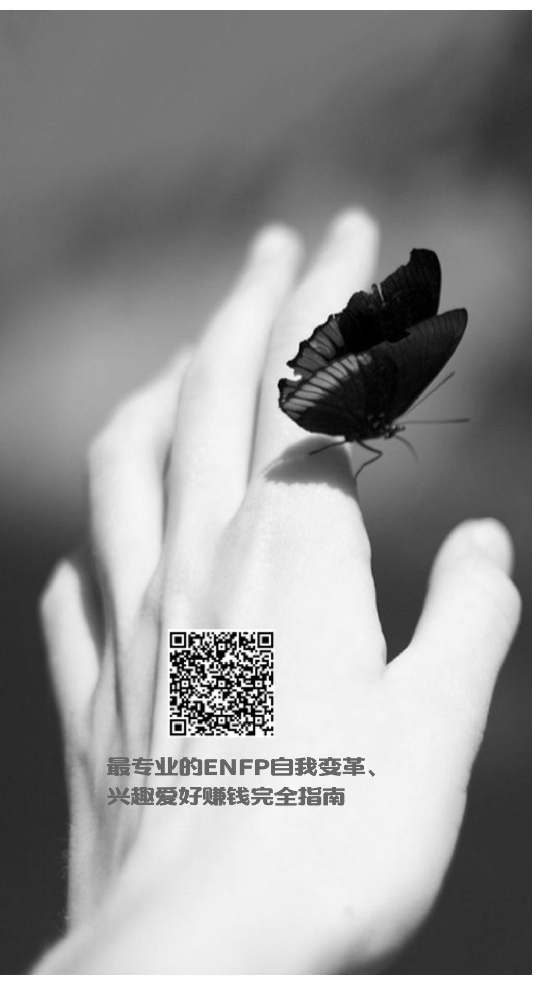 最实战 专业 全面的奋斗者型enfp自我变革 兴趣爱好赚钱完全指南 自由微信 Freewechat