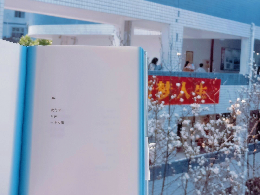 我为两校传"情书"|重庆市丰都中学&武汉理工大学