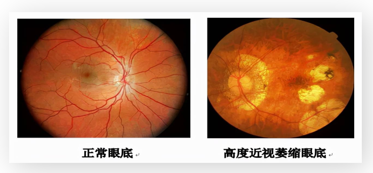 图片12.png