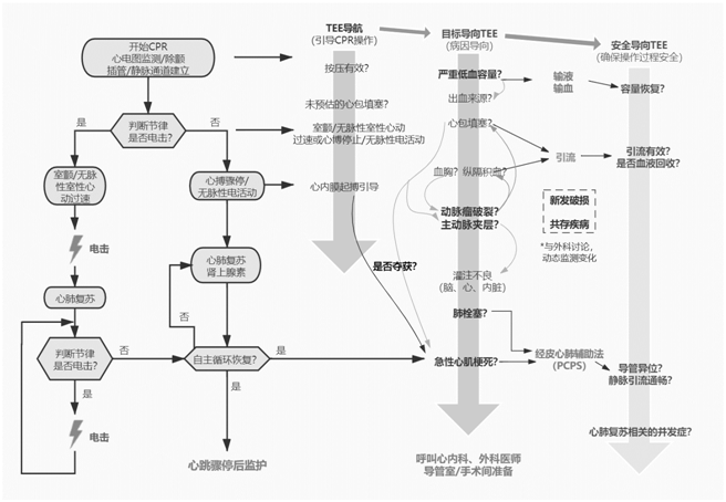 什么叫超声容积探头围手术期经食管超声心动图监测操作的专家共识（可下载）_https://www.jmylbn.com_新闻资讯_第65张