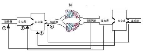 什么叫超声容积探头围手术期经食管超声心动图监测操作的专家共识（可下载）_https://www.jmylbn.com_新闻资讯_第87张