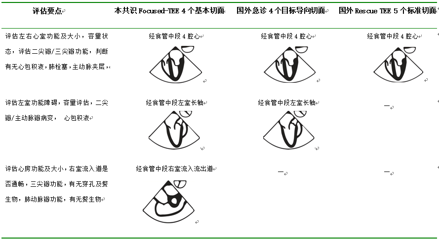 什么叫超声容积探头围手术期经食管超声心动图监测操作的专家共识（可下载）_https://www.jmylbn.com_新闻资讯_第62张