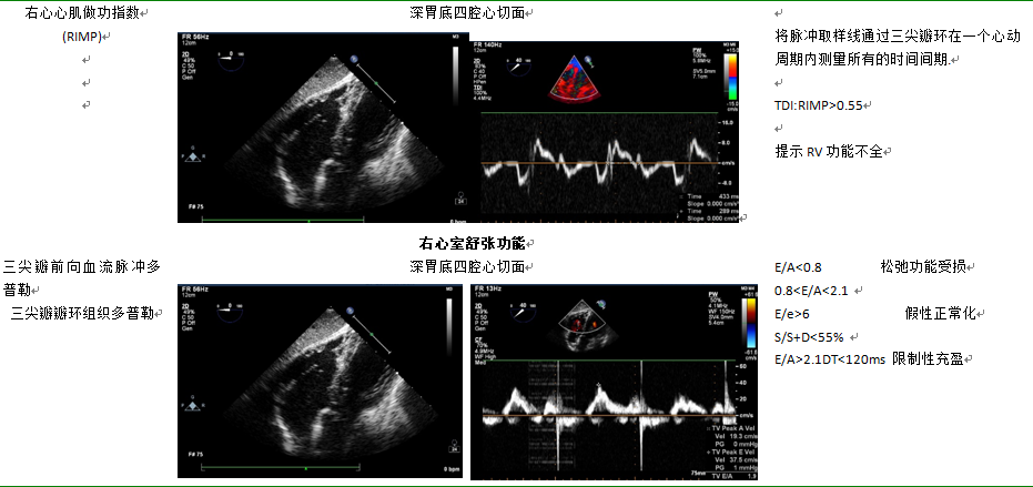 什么叫超声容积探头围手术期经食管超声心动图监测操作的专家共识（可下载）_https://www.jmylbn.com_新闻资讯_第56张