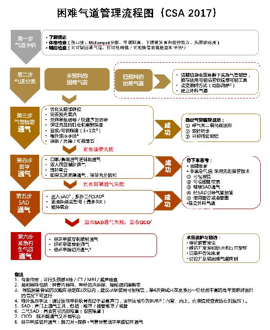 ue可视喉镜怎么购买困难气道管理指南_https://www.jmylbn.com_新闻资讯_第2张
