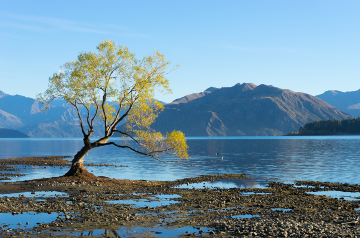 护阴器是什么东西有这些症状，你该护阴了！_https://www.jmylbn.com_新闻资讯_第3张