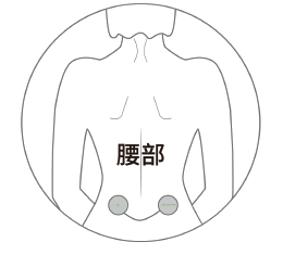 中频电磁治疗仪怎么用干货！耐百特中频治疗仪的十种实用贴法_https://www.jmylbn.com_新闻资讯_第2张