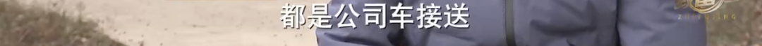 三农致富养鹅视频_致富经鹅养殖技术视频_致富经养鹅视频