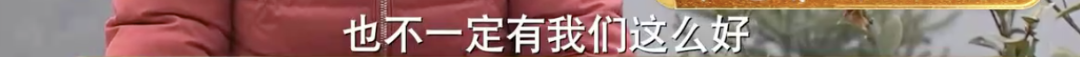 三农致富养鹅视频_致富经鹅养殖技术视频_致富经养鹅视频