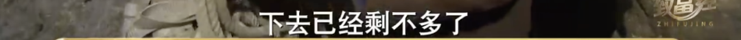 致富经鹅养殖技术视频_三农致富养鹅视频_致富经养鹅视频