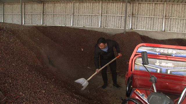 养驴致富故事_养驴是农村致富的好项目_致富经养驴