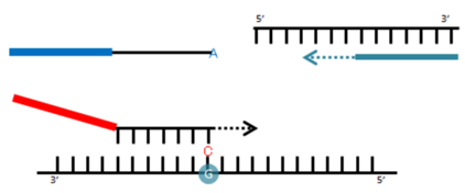 640 (1).png