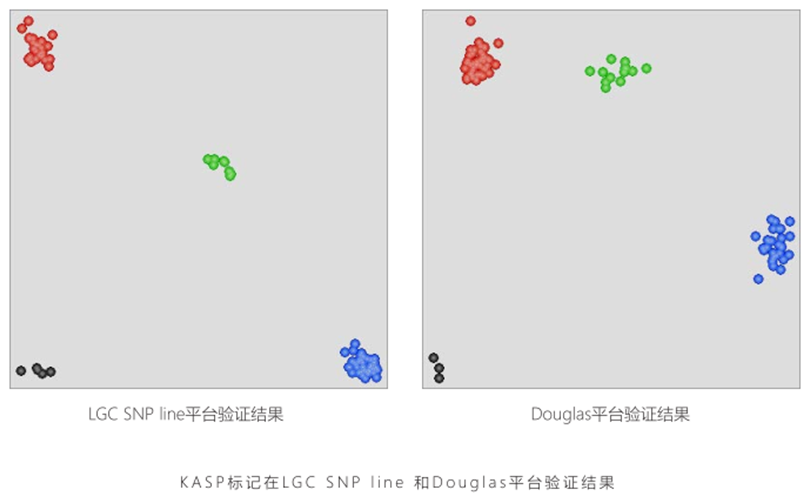 640 (3).png