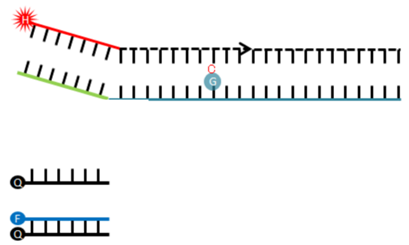 640 (3).png